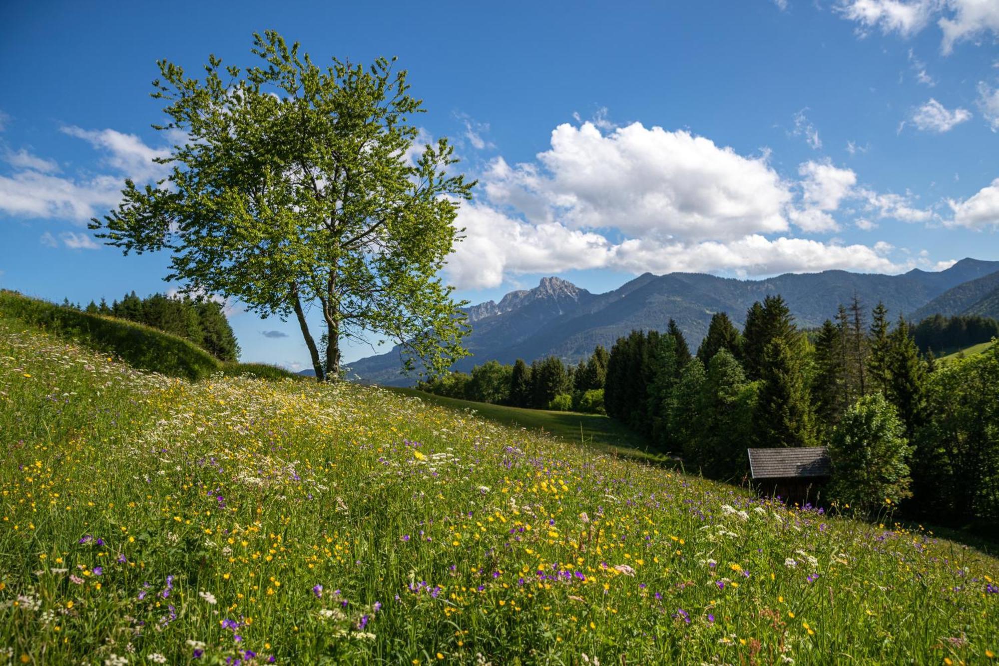 Hotel Krone Tirol รอยท์เทอ ภายนอก รูปภาพ